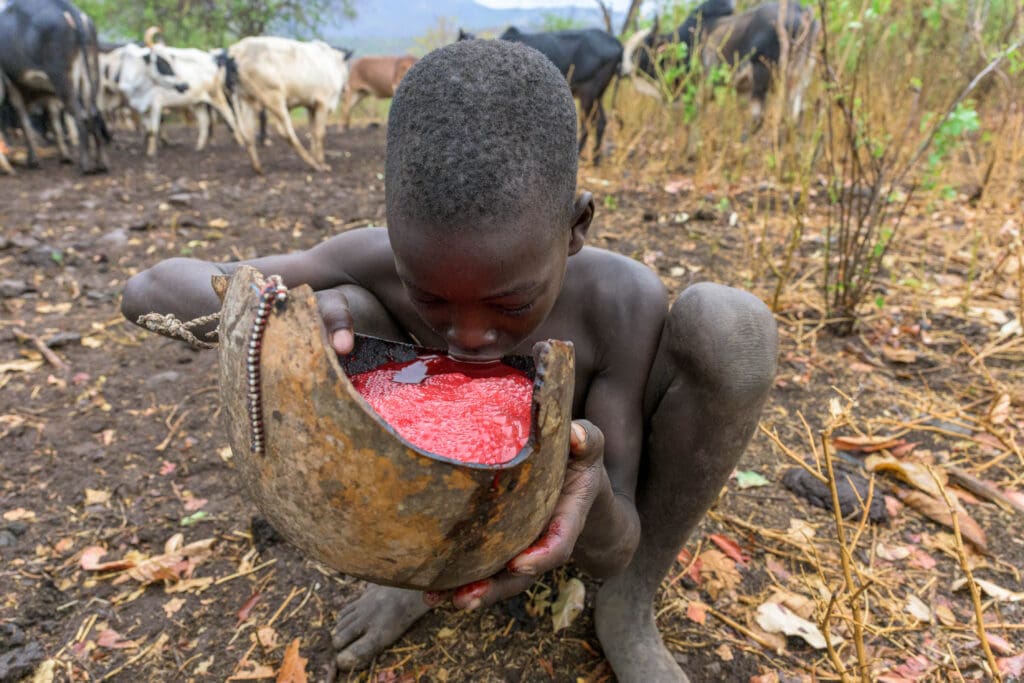 A young Suri boy drinks cow blood from a gourd.