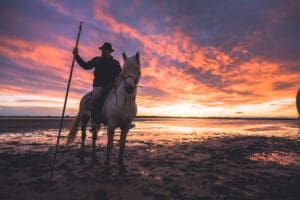 A Gardian sits proudly on his horse in the Camargue. by Marshall Foster