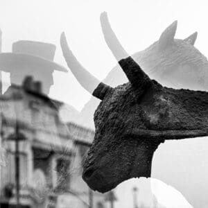 Spirits of the Camargue In "Spirits of the Camargue," the essence of the region comes alive through a haunting double exposure. Here, the figures of the Gardian, the bull, and the horse are layered together, creating a spectral representation of the Camargue’s soul. The interplay of light and shadow, combined with the melding of these iconic elements, evokes a timeless connection to the land and its history. This image is a testament to the Camargue's enduring spirit. The Gardians, with their unwavering dedication, the powerful bulls, and the majestic horses, all blend into a single vision that speaks to the heart of this land. Creating this piece was an exploration of how these elements interact, both in reality and in the layered narrative of my work. It's a reflection of the Camargue's past and present, captured in a moment that invites viewers to explore its deep, multifaceted beauty. by Marshall Foster