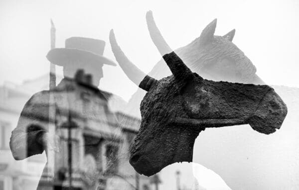 Spirits of the Camargue In "Spirits of the Camargue," the essence of the region comes alive through a haunting double exposure. Here, the figures of the Gardian, the bull, and the horse are layered together, creating a spectral representation of the Camargue’s soul. The interplay of light and shadow, combined with the melding of these iconic elements, evokes a timeless connection to the land and its history. This image is a testament to the Camargue's enduring spirit. The Gardians, with their unwavering dedication, the powerful bulls, and the majestic horses, all blend into a single vision that speaks to the heart of this land. Creating this piece was an exploration of how these elements interact, both in reality and in the layered narrative of my work. It's a reflection of the Camargue's past and present, captured in a moment that invites viewers to explore its deep, multifaceted beauty. by Marshall Foster