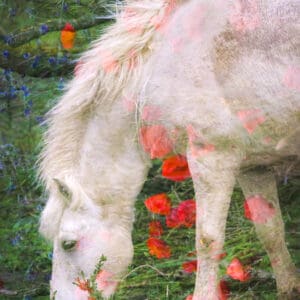 "Petals and Mane" catches your eye immediately. The white horse, almost ghostly, blends with the vibrant flowers, creating a scene that feels both surreal and natural. The double exposure technique brings out a unique harmony, merging the horse with its surroundings in a way that feels effortless. The colors and textures draw you in, making you feel like you’ve stumbled upon a hidden moment of peace. This piece speaks quietly but powerfully about the connection between the horse and the wildflowers, inviting you to pause and appreciate the simple beauty of nature’s details. by Marshall Foster