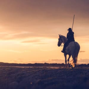 His Father's Footsteps The image "In His Father’s Footsteps" captures a young Gardian, Falco, riding into the sunset on the marshlands, following the path laid out by his father and grandfather before him. The golden light of the setting sun bathes the scene in a warm, timeless glow, symbolizing the passing of tradition from one generation to the next. The Gardian, with his unwavering dedication to the horses and the land, is a living link to the past, carrying forward a legacy that has shaped the Camargue for centuries. by Marshall Foster