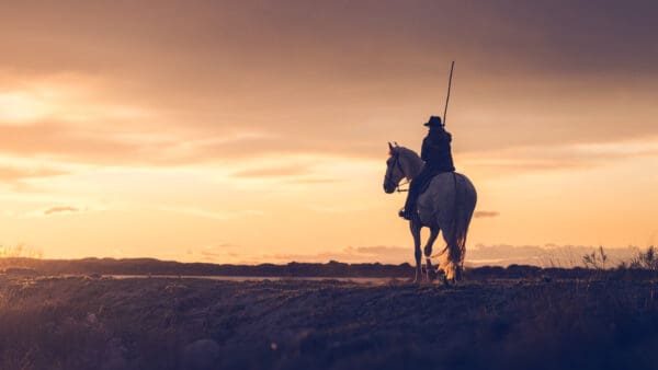 His Father's Footsteps The image "In His Father’s Footsteps" captures a young Gardian, Falco, riding into the sunset on the marshlands, following the path laid out by his father and grandfather before him. The golden light of the setting sun bathes the scene in a warm, timeless glow, symbolizing the passing of tradition from one generation to the next. The Gardian, with his unwavering dedication to the horses and the land, is a living link to the past, carrying forward a legacy that has shaped the Camargue for centuries. by Marshall Foster